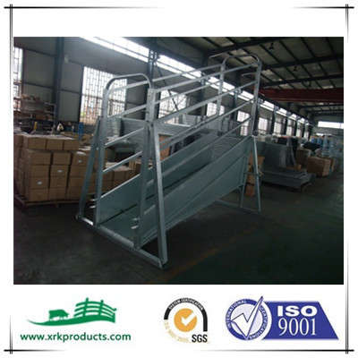 Adjustable cattle loading ramps